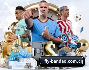 fly-bandao.com.cn的故事
